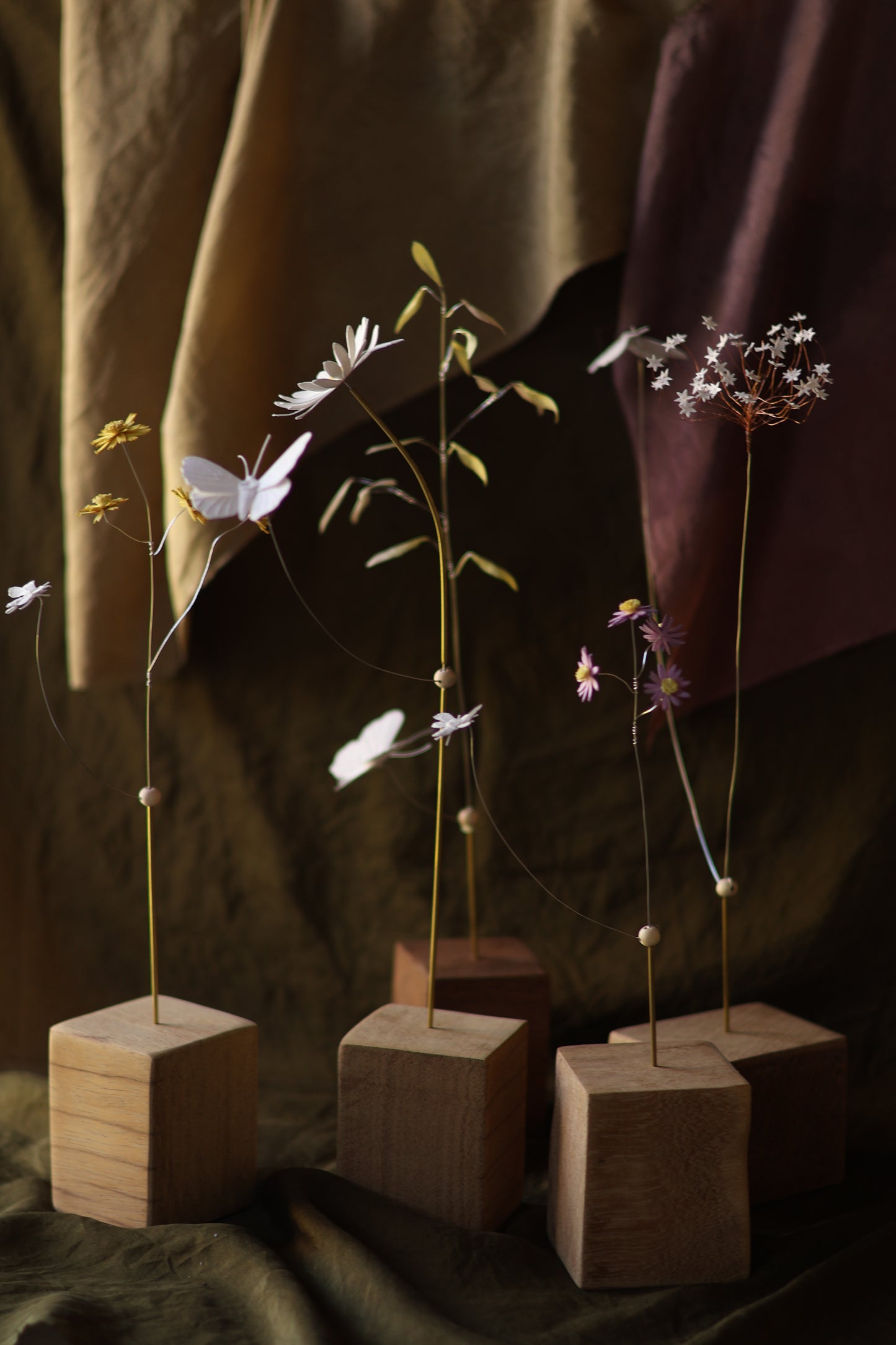 (A) L’herbe de prairie et le papillon