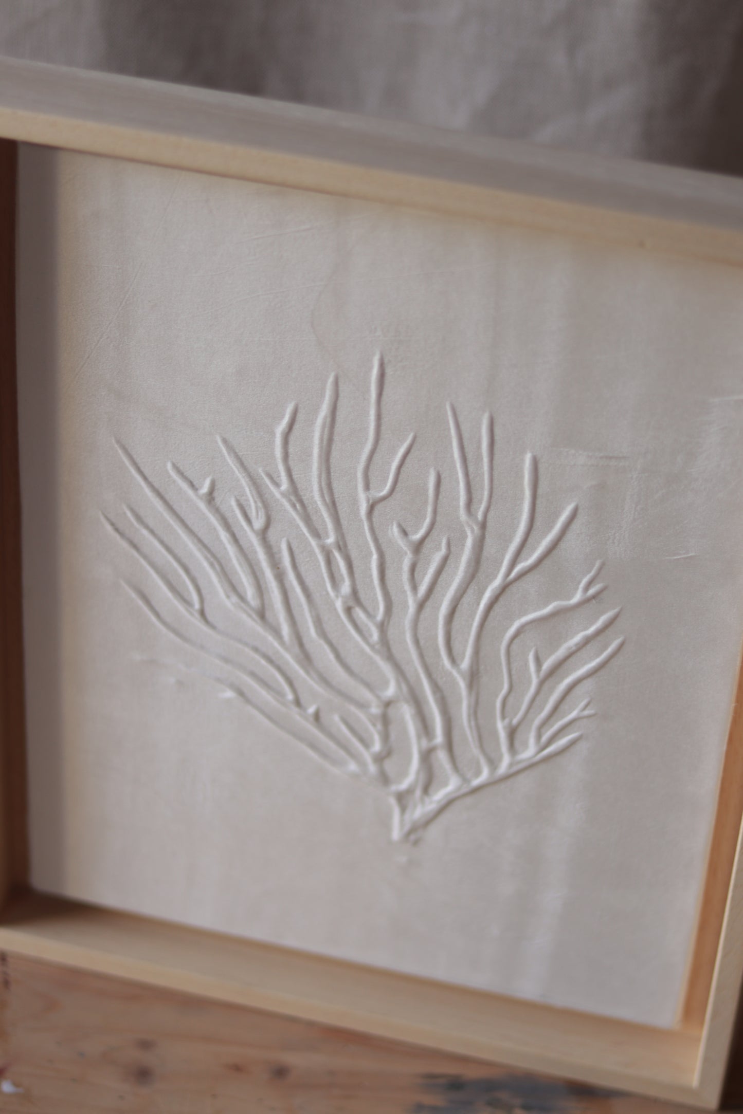 Corail Blanc