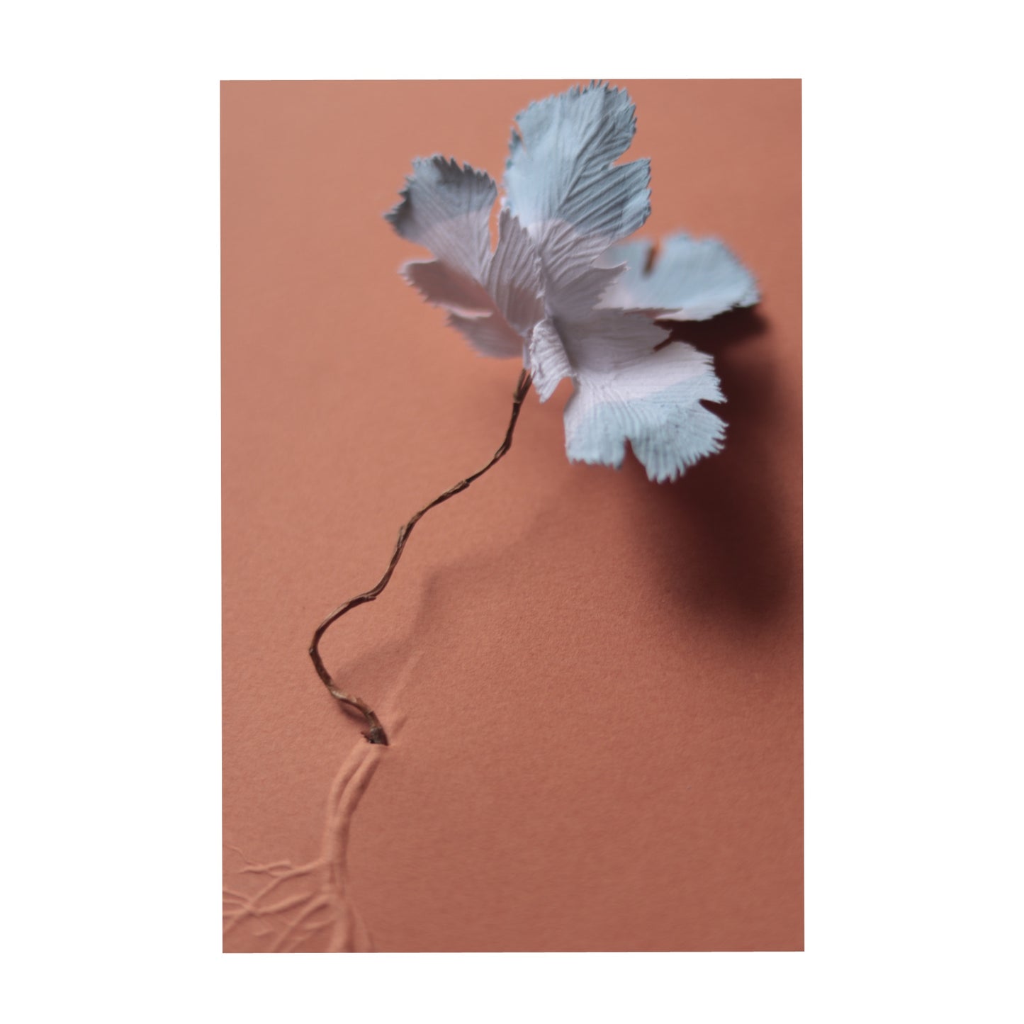 La fleur