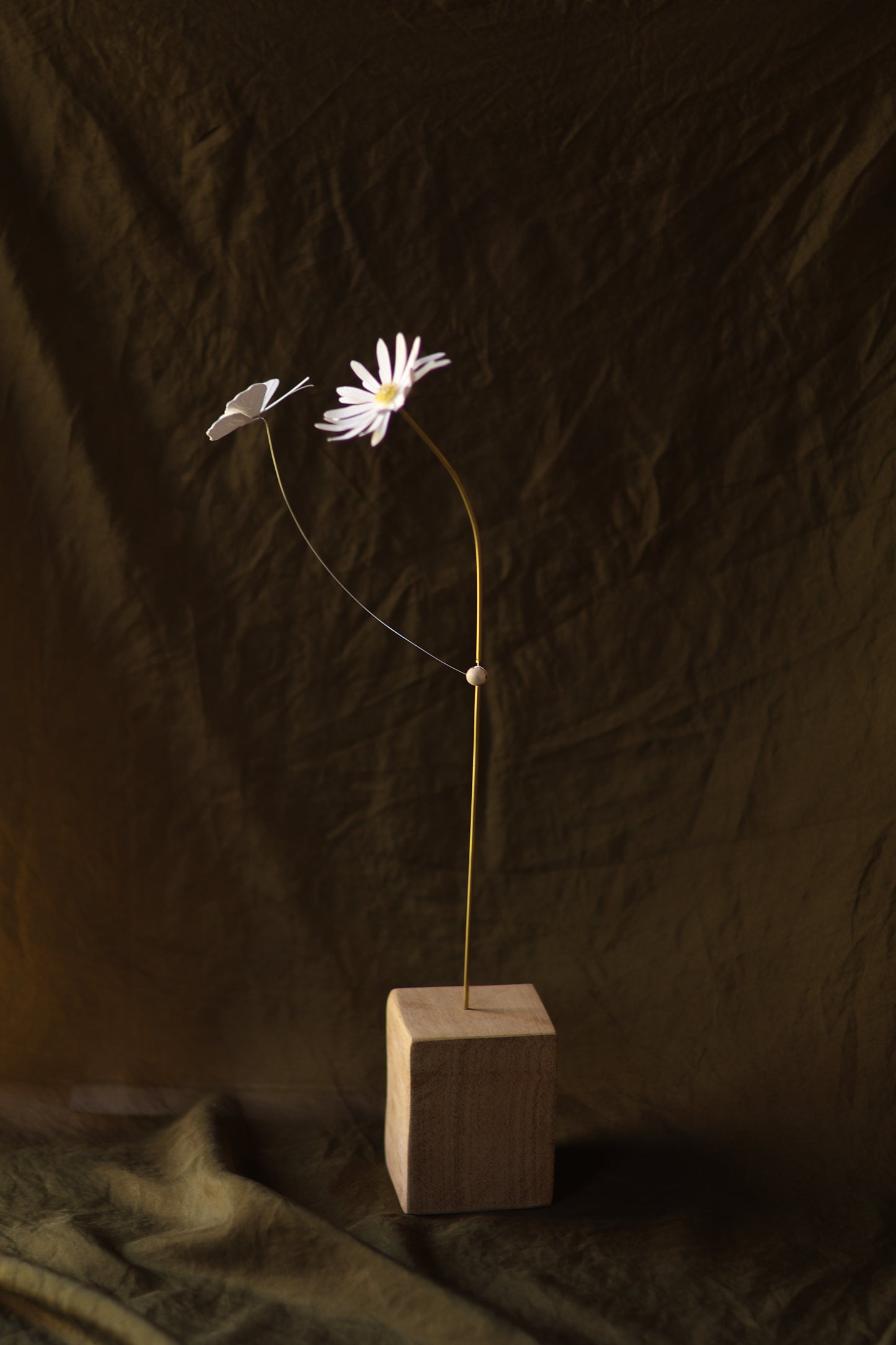 (A) La Marguerite et le papillon