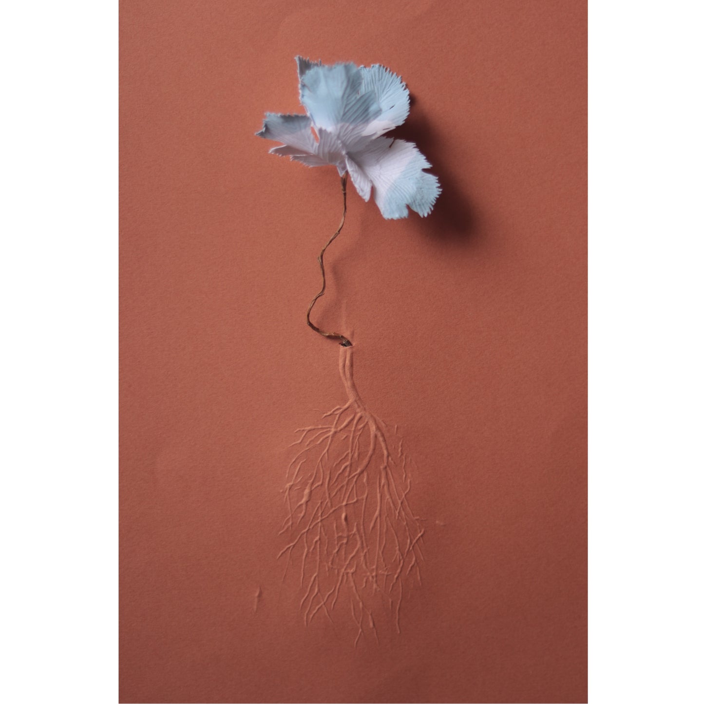 La fleur