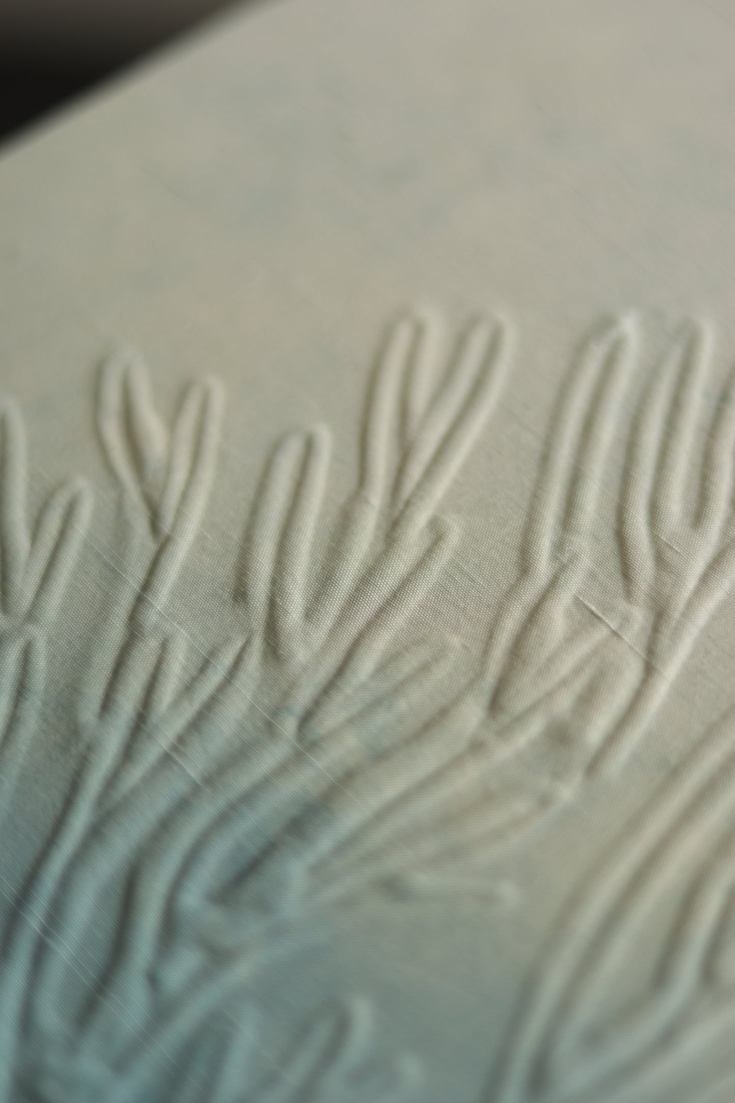 Alga