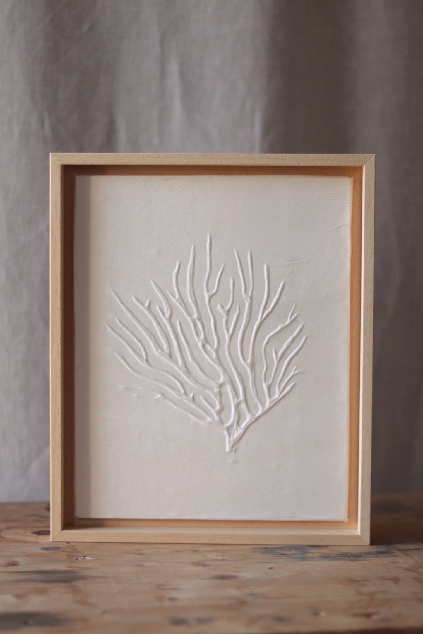 Corail Blanc