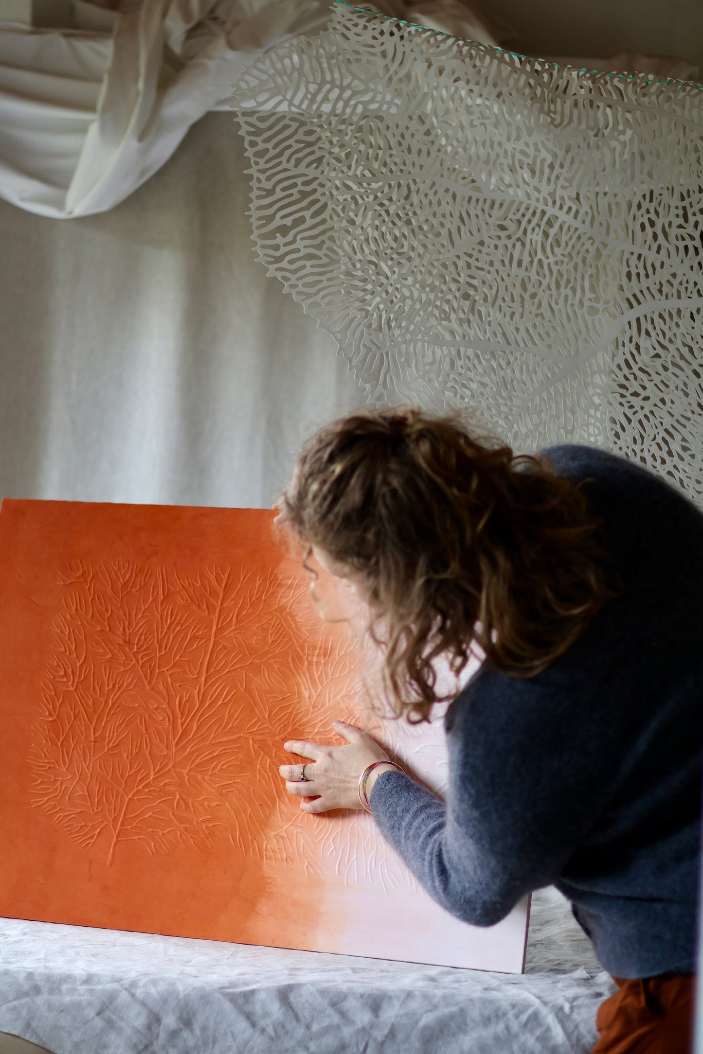 Mémoire d’un récif