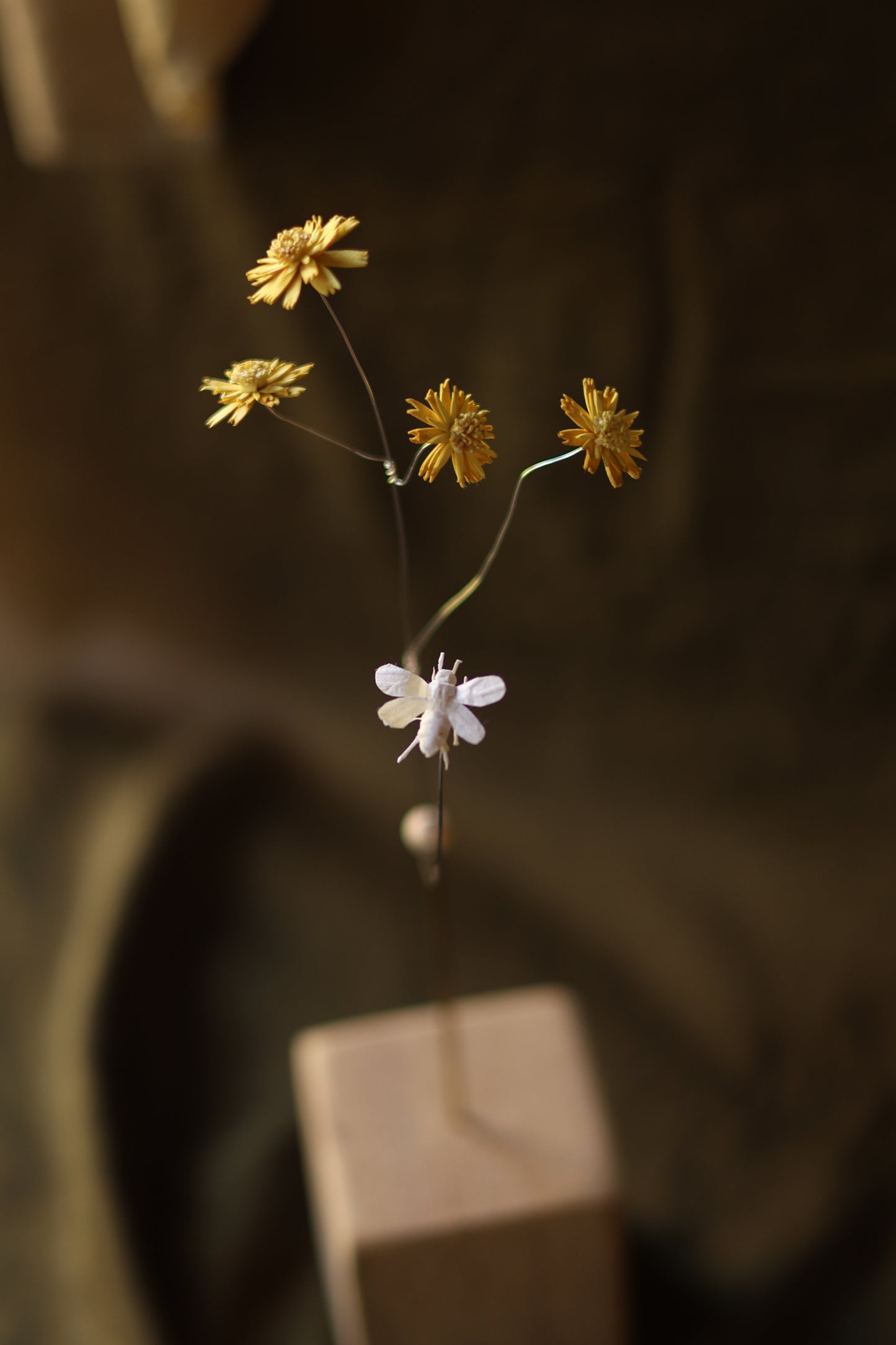 (A) Le pissenlit et L’abeille