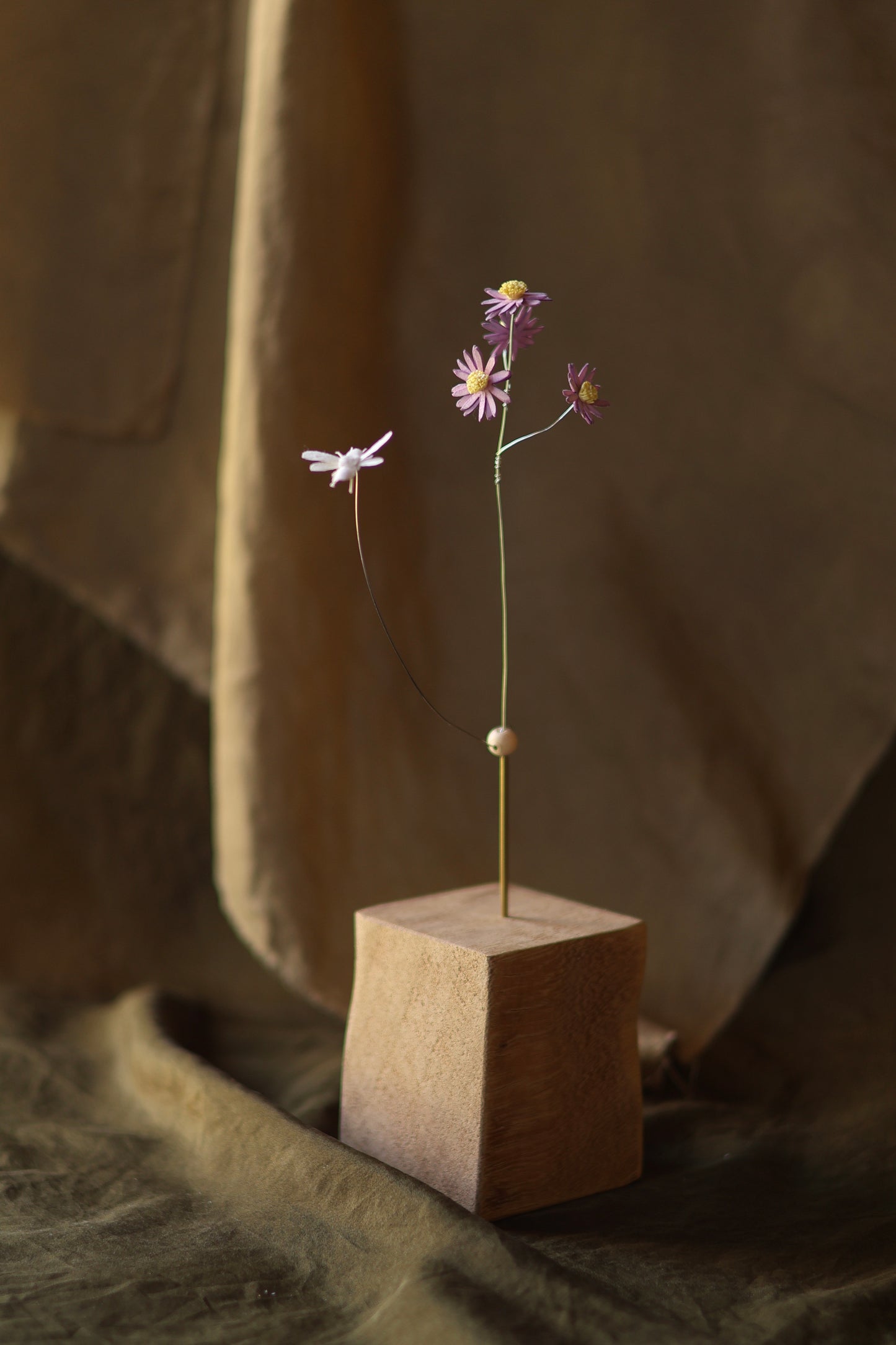 (A) La pâquerette et l’abeille