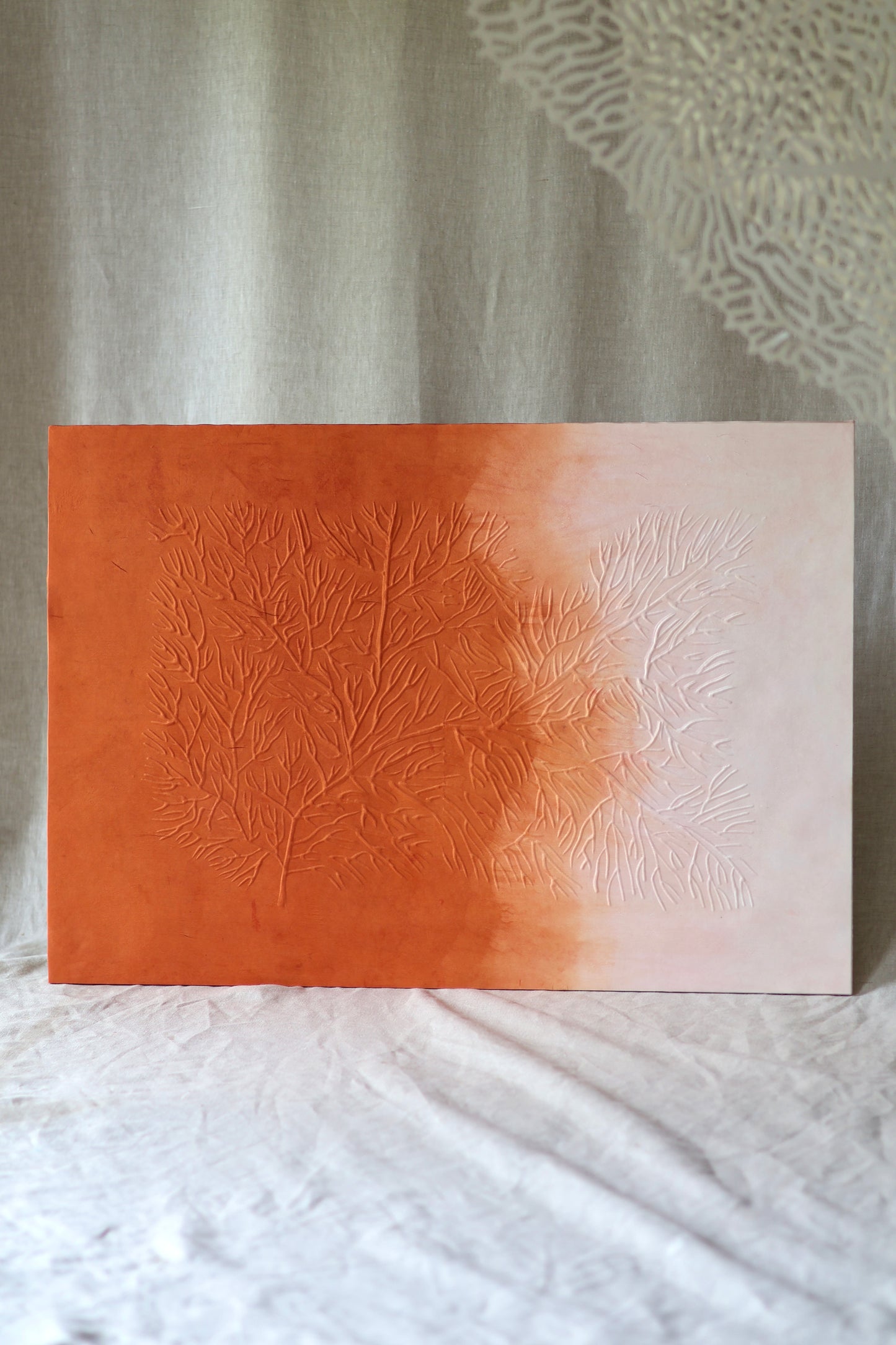 Mémoire d’un récif