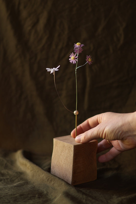 (A) La pâquerette et l’abeille