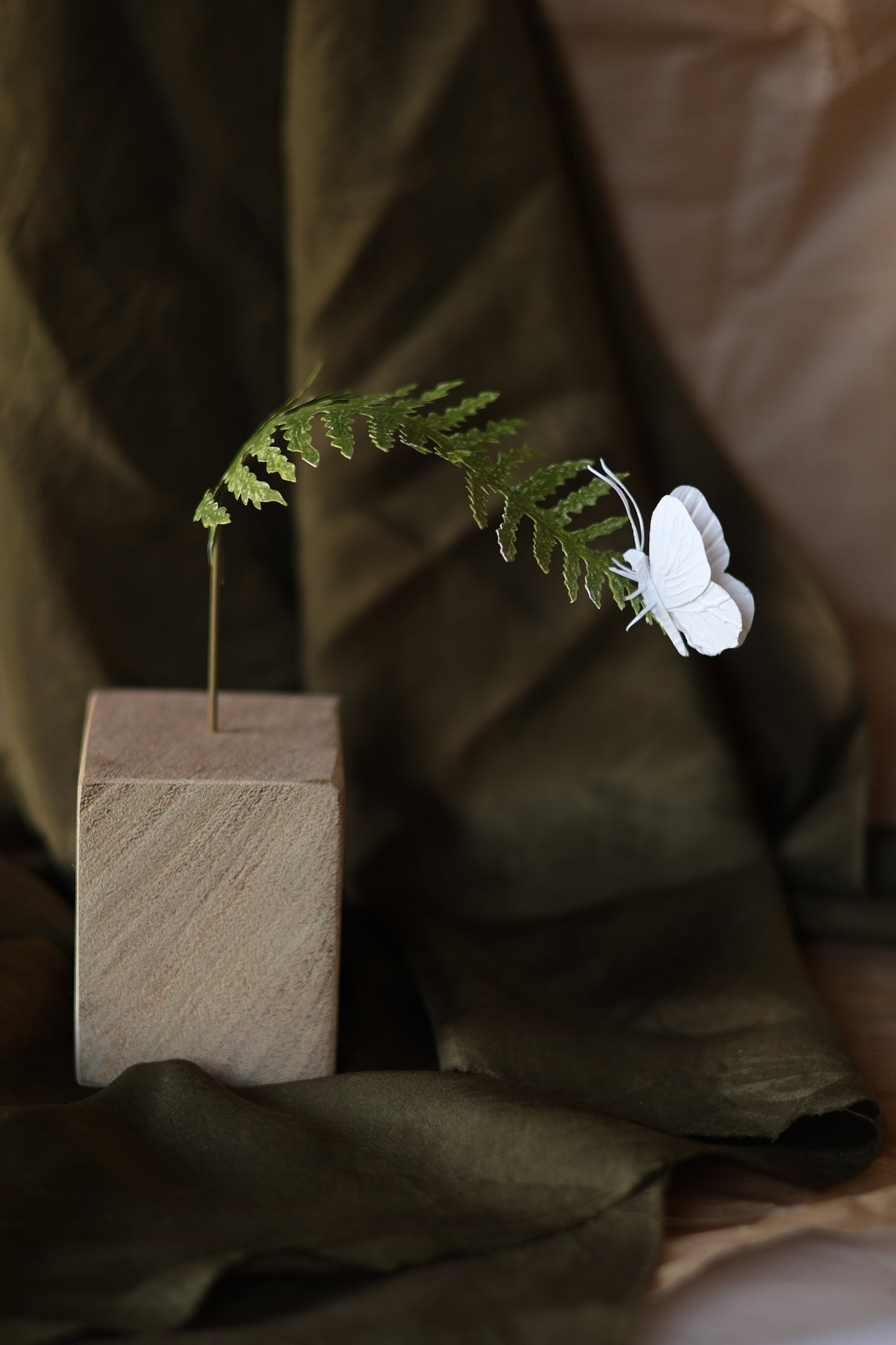 (A) La fougère et le papillon