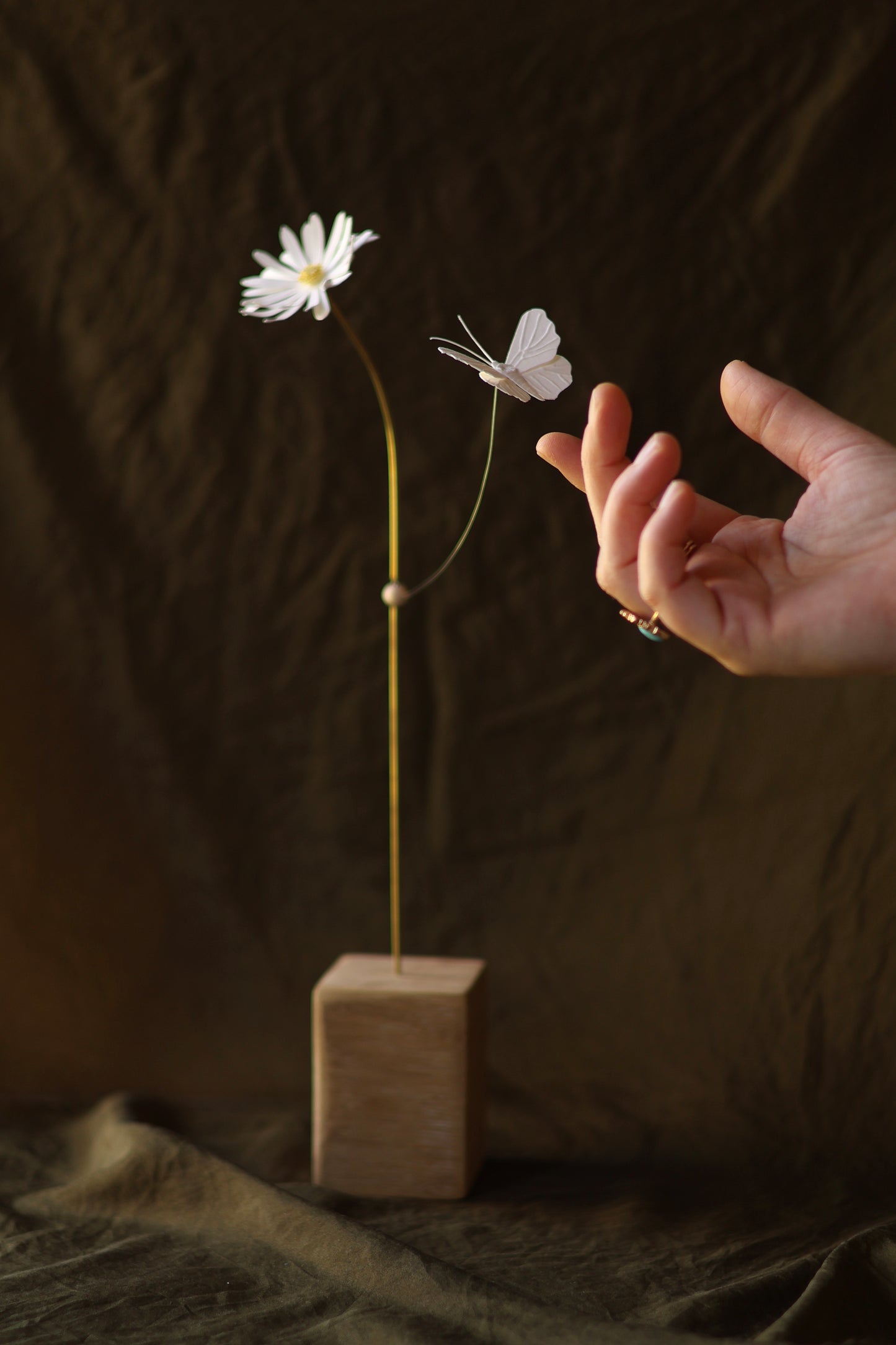(A) La Marguerite et le papillon