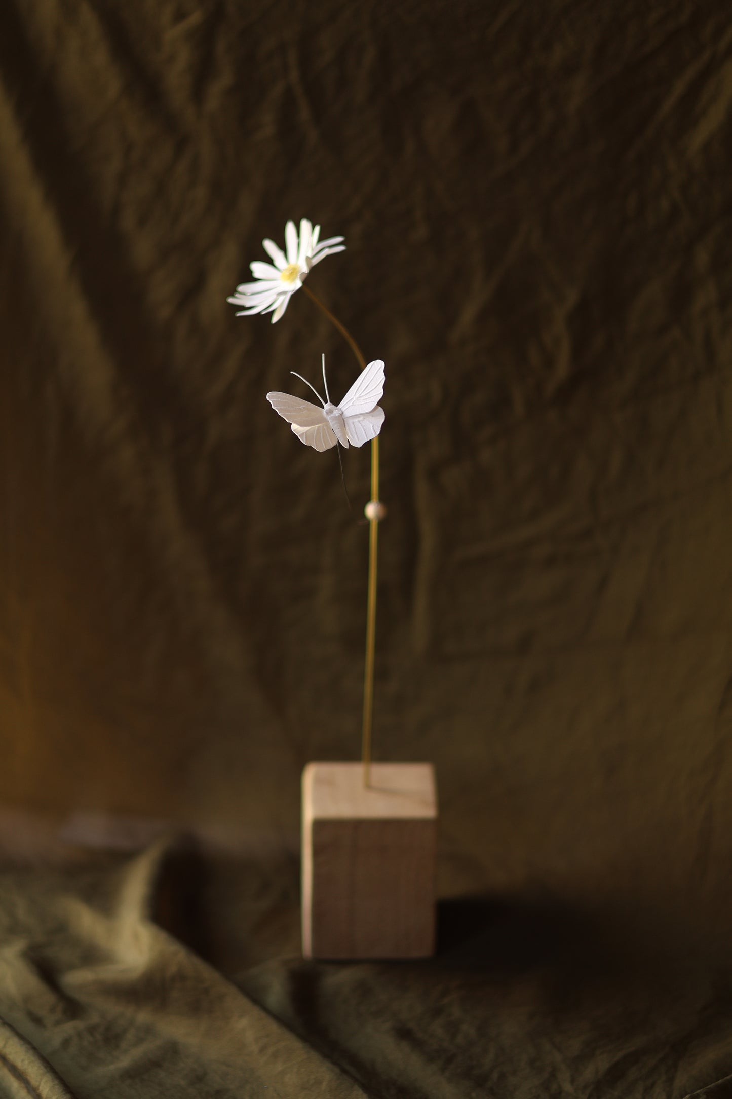 (A) La Marguerite et le papillon