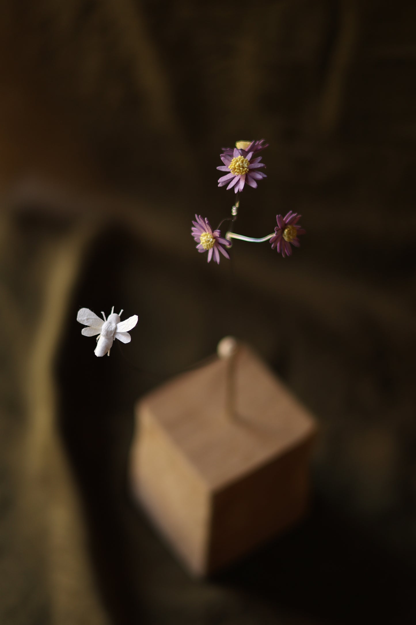 (A) La pâquerette et l’abeille