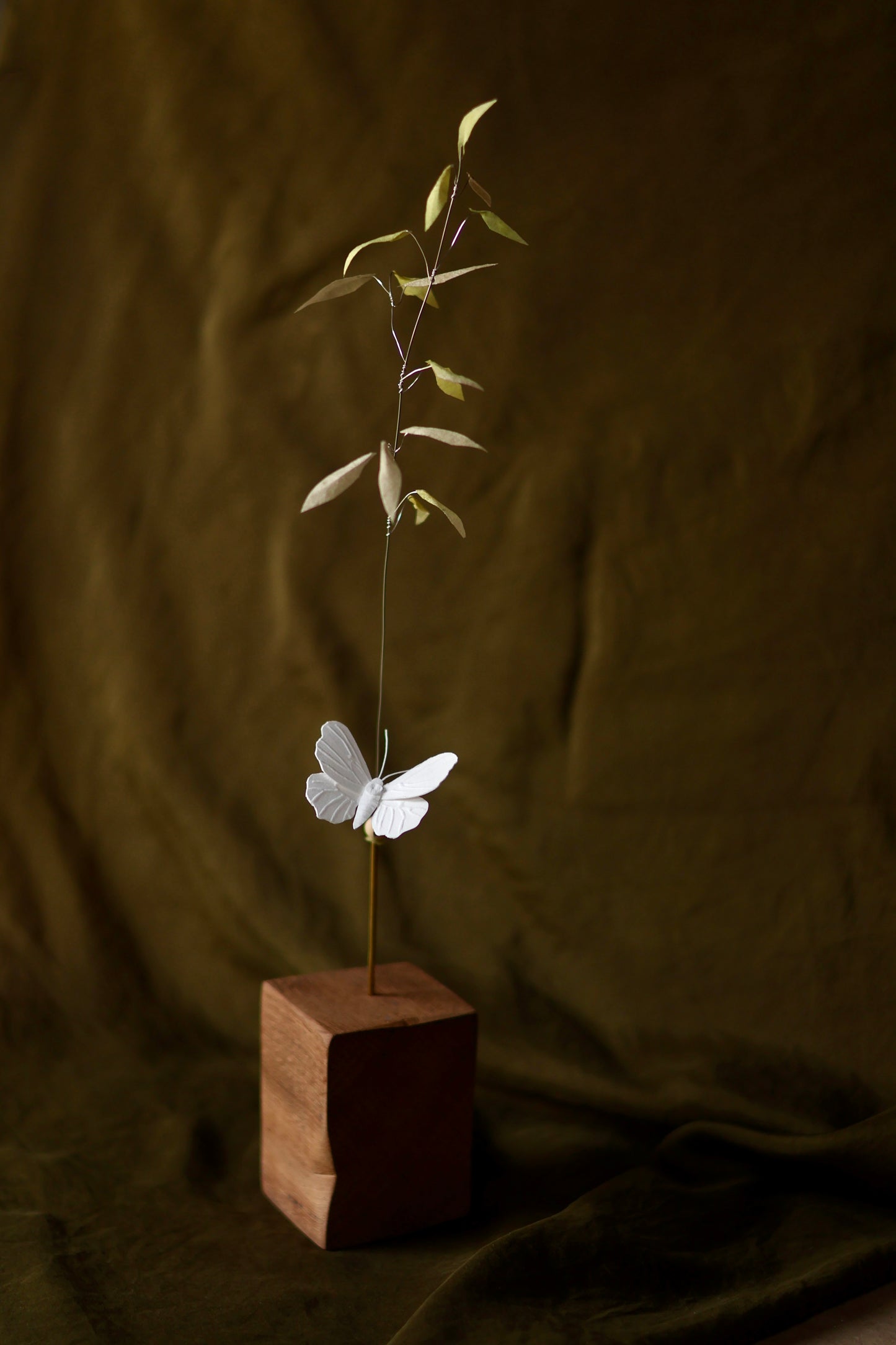 (A) L’herbe de prairie et le papillon