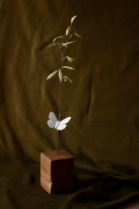 (A) L’herbe de prairie et le papillon