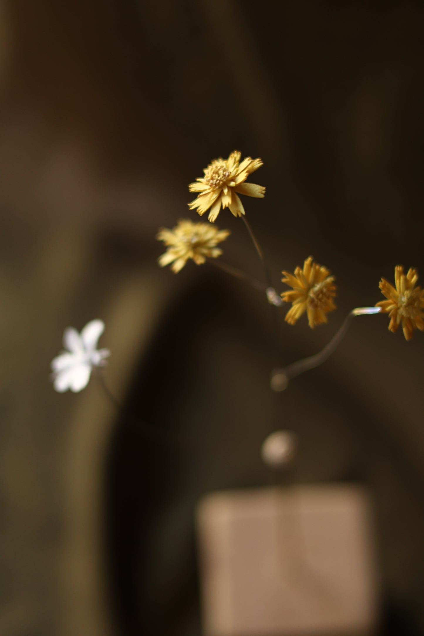 (A) Le pissenlit et L’abeille