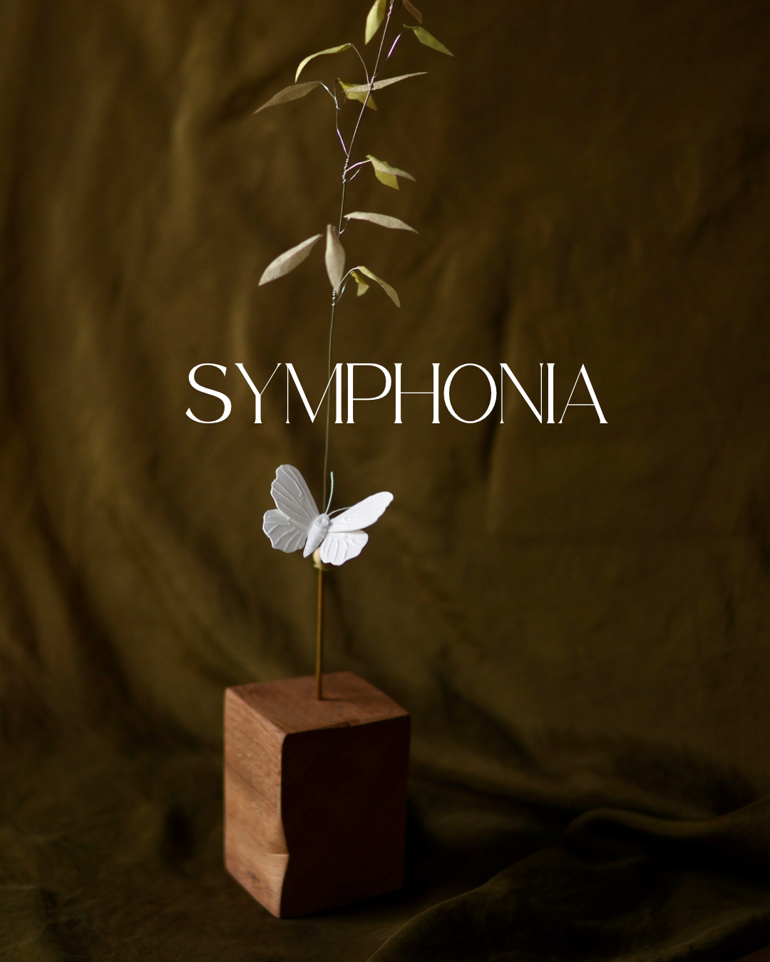 (A) L’herbe de prairie et le papillon