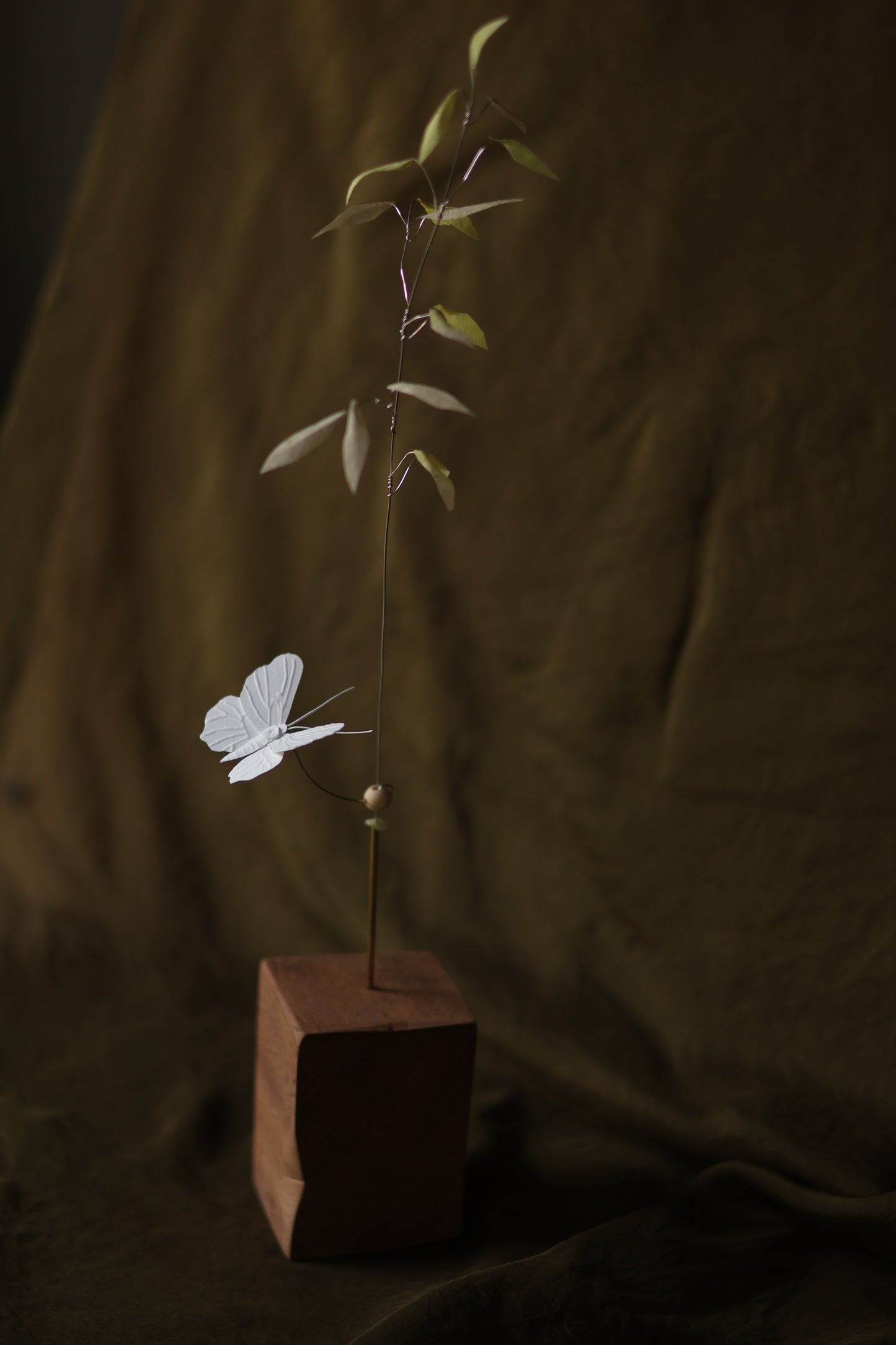 (A) L’herbe de prairie et le papillon