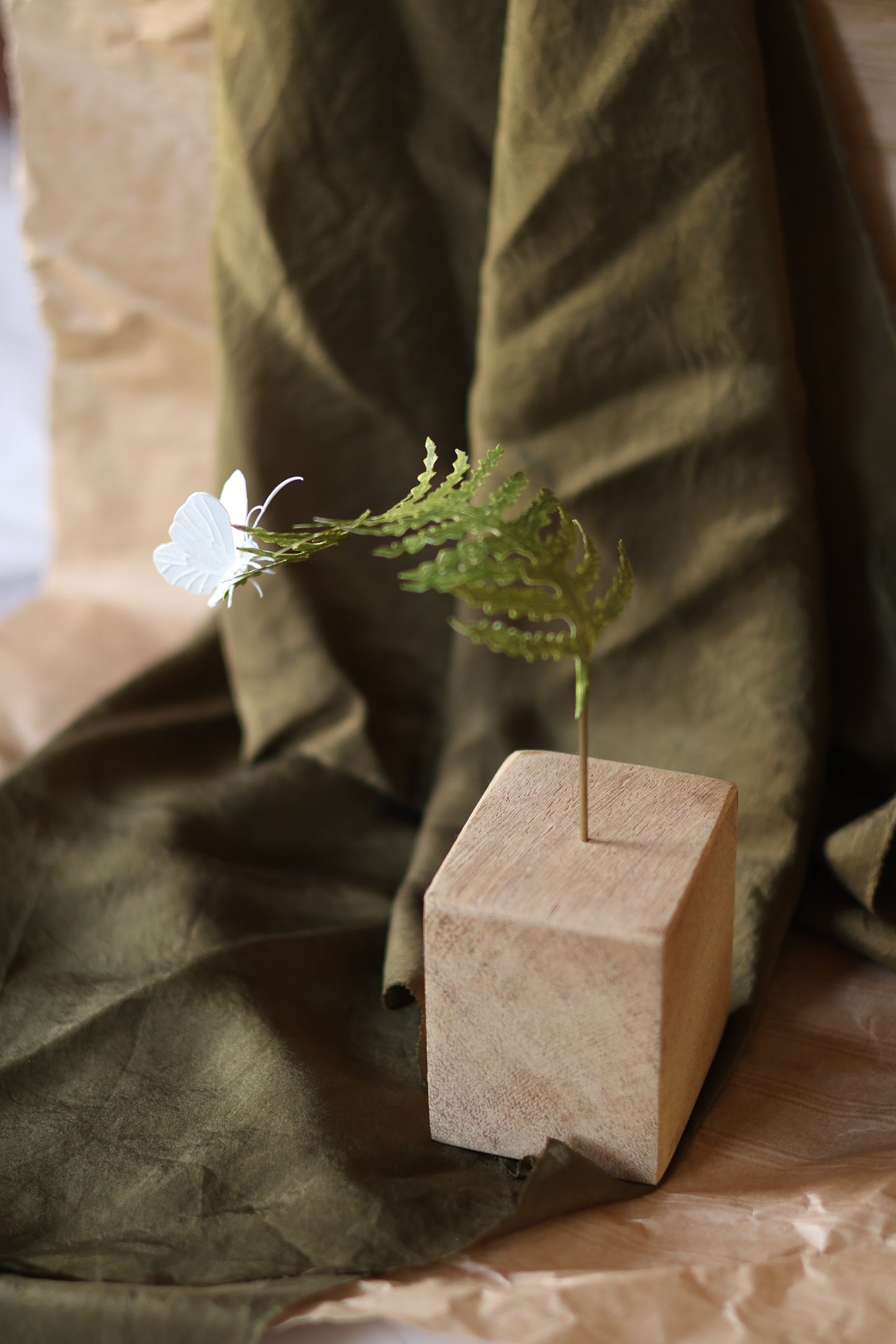 (A) La fougère et le papillon