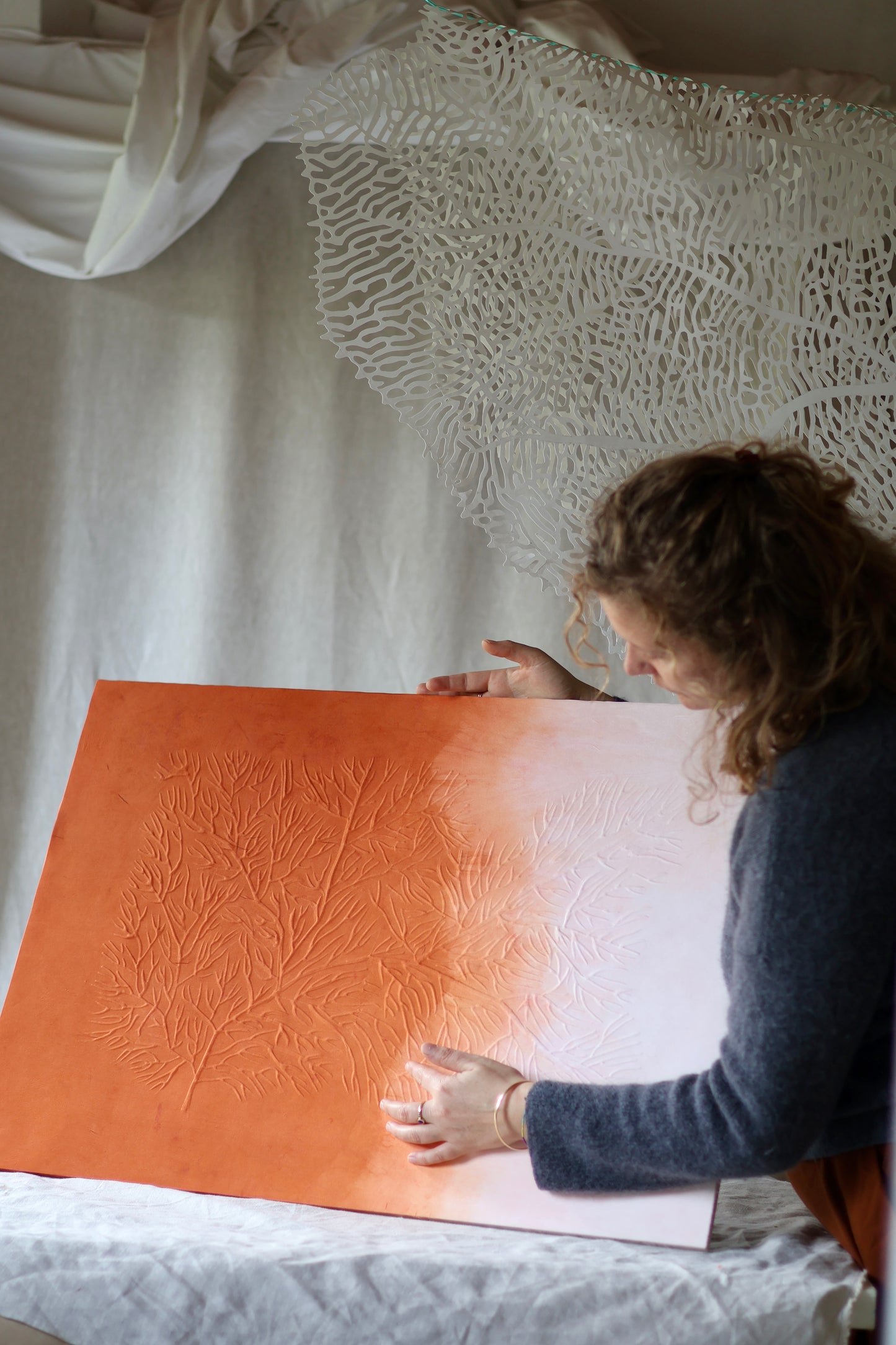 Mémoire d’un récif