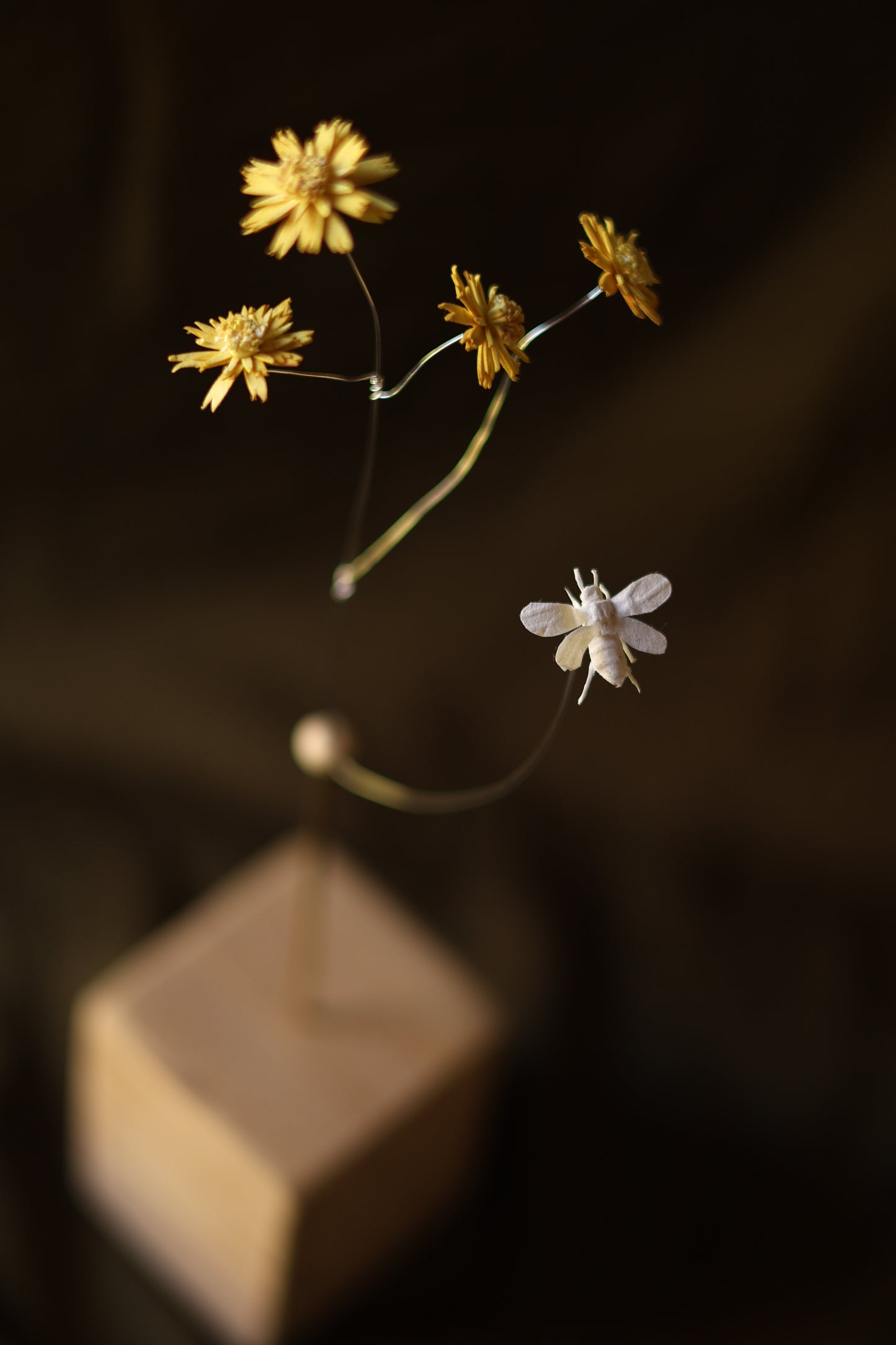 (A) Le pissenlit et L’abeille