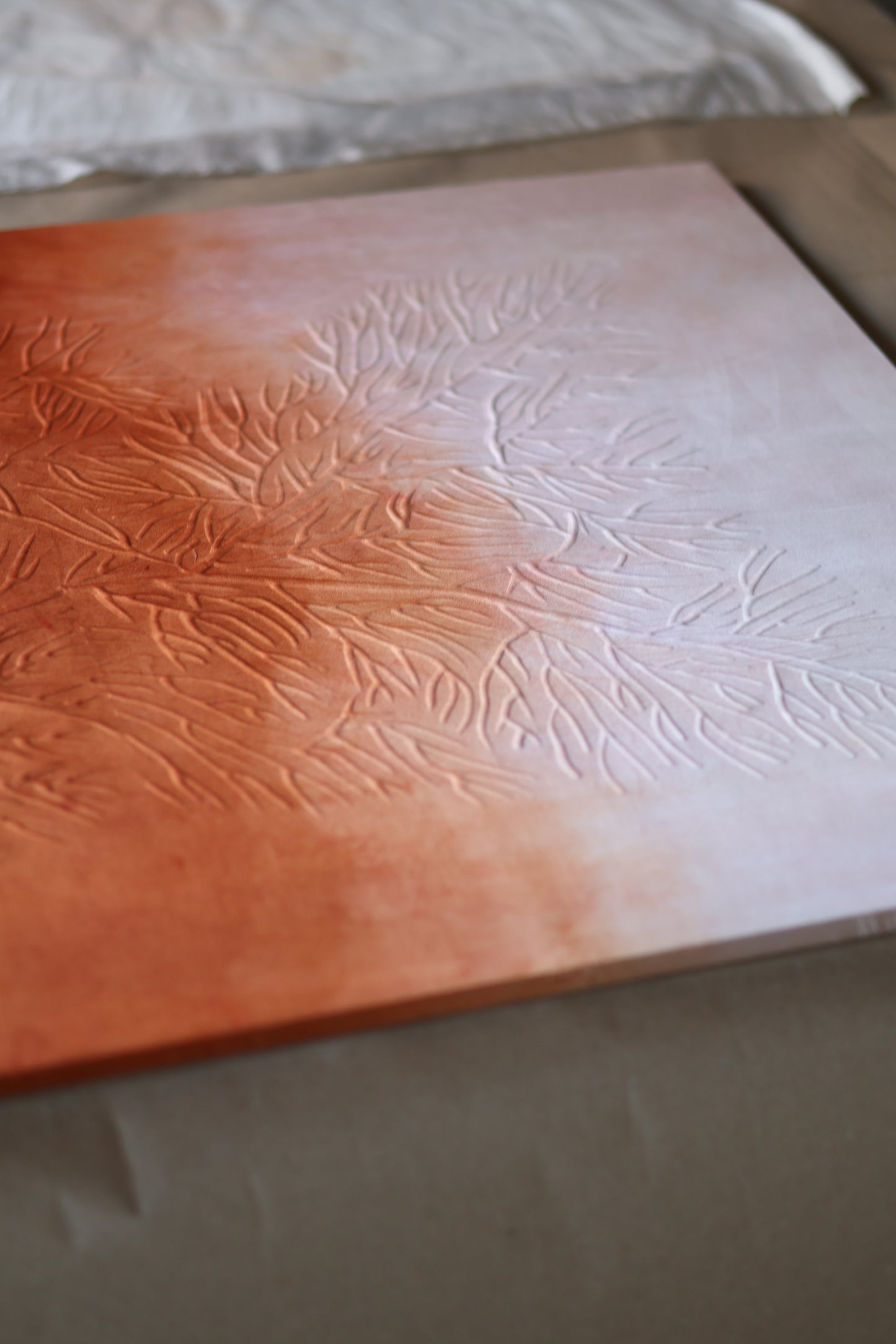 Mémoire d’un récif