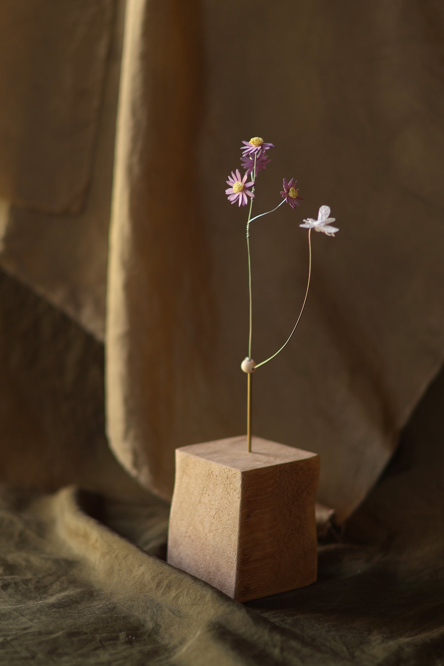 (A) La pâquerette et l’abeille