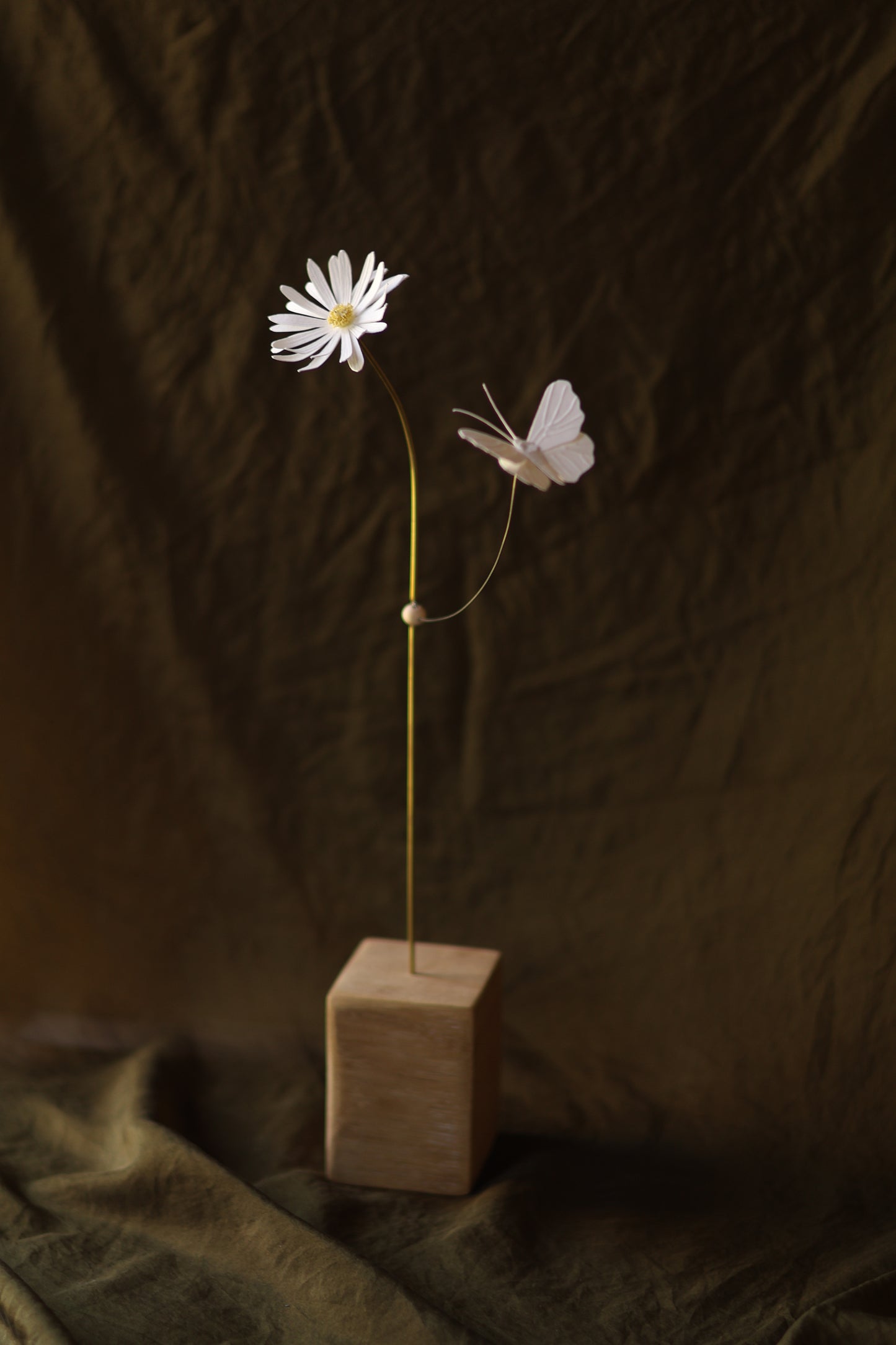 (A) La Marguerite et le papillon