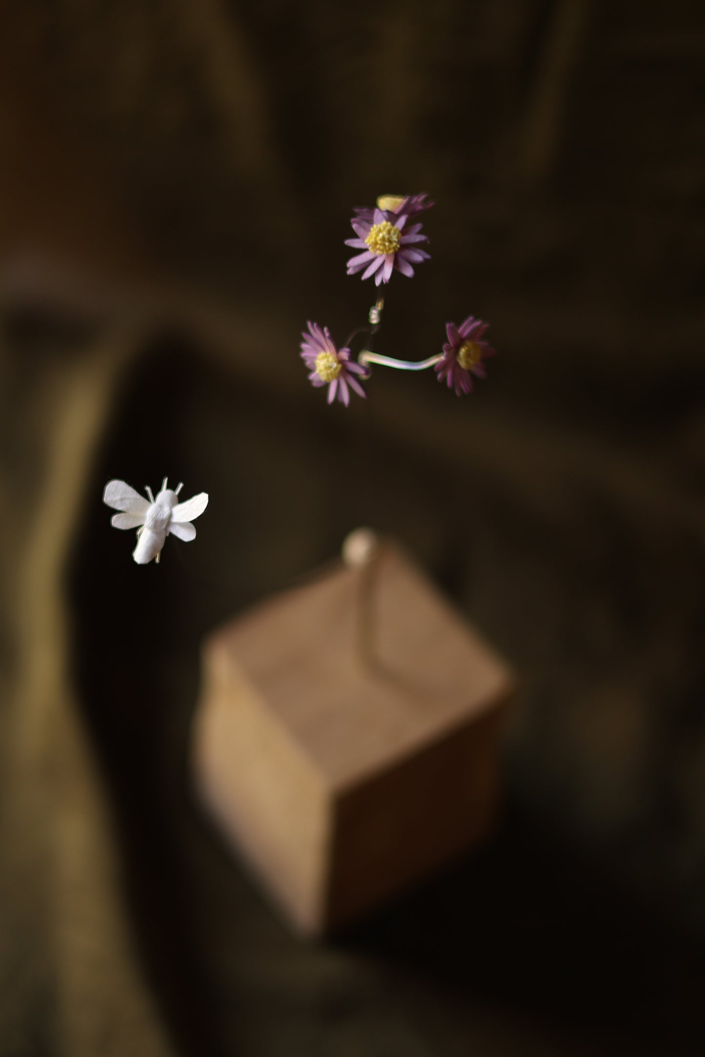 (A) La pâquerette et l’abeille