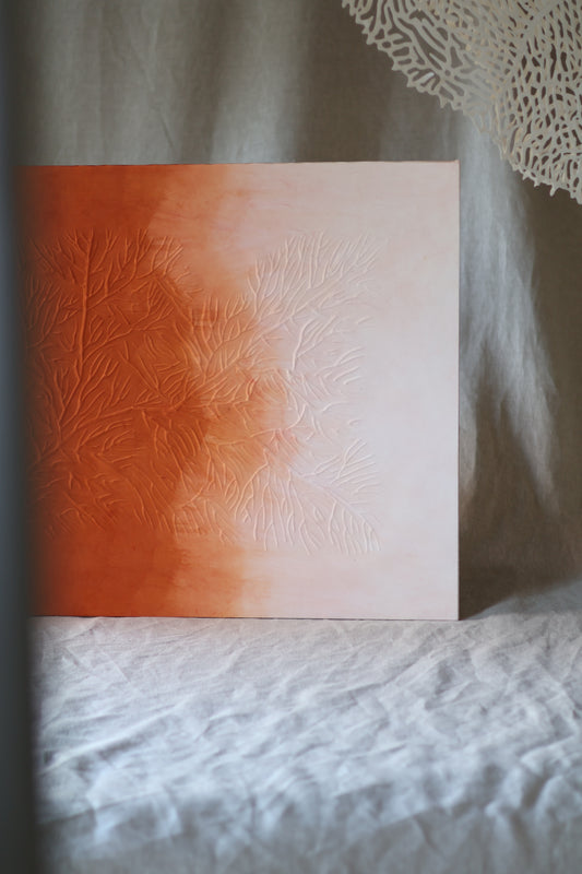 Mémoire d’un récif